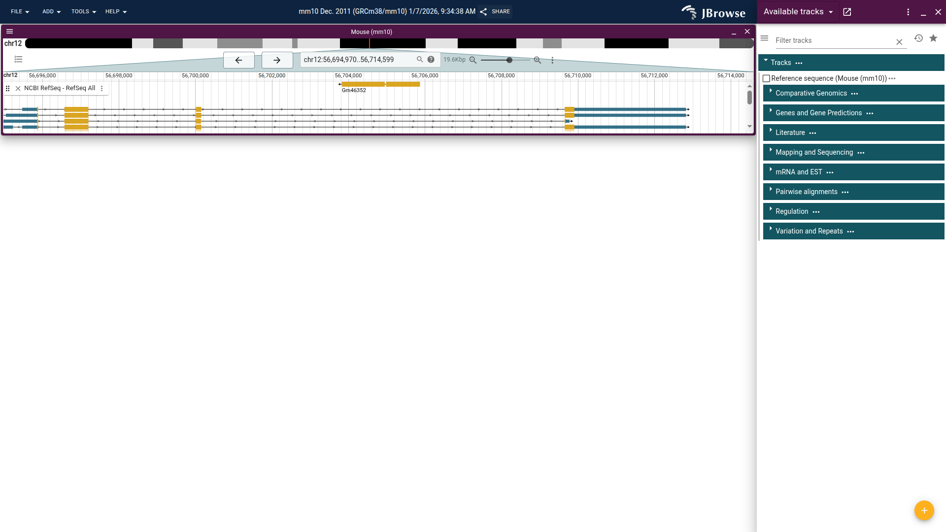 initial page load of mm10 genome