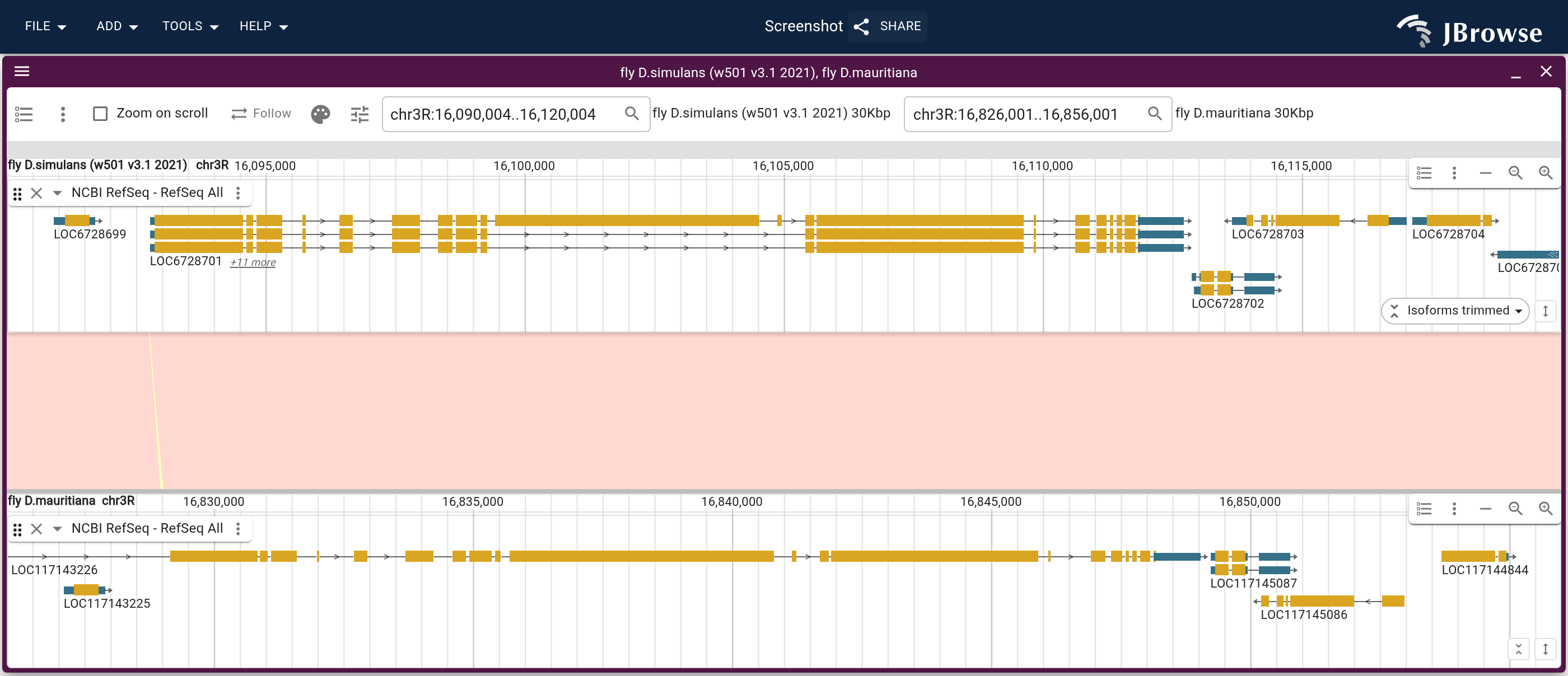 chr3R on both genomes with RefSeq genes on each row and the minimap2 alignment between them, colored by strand.