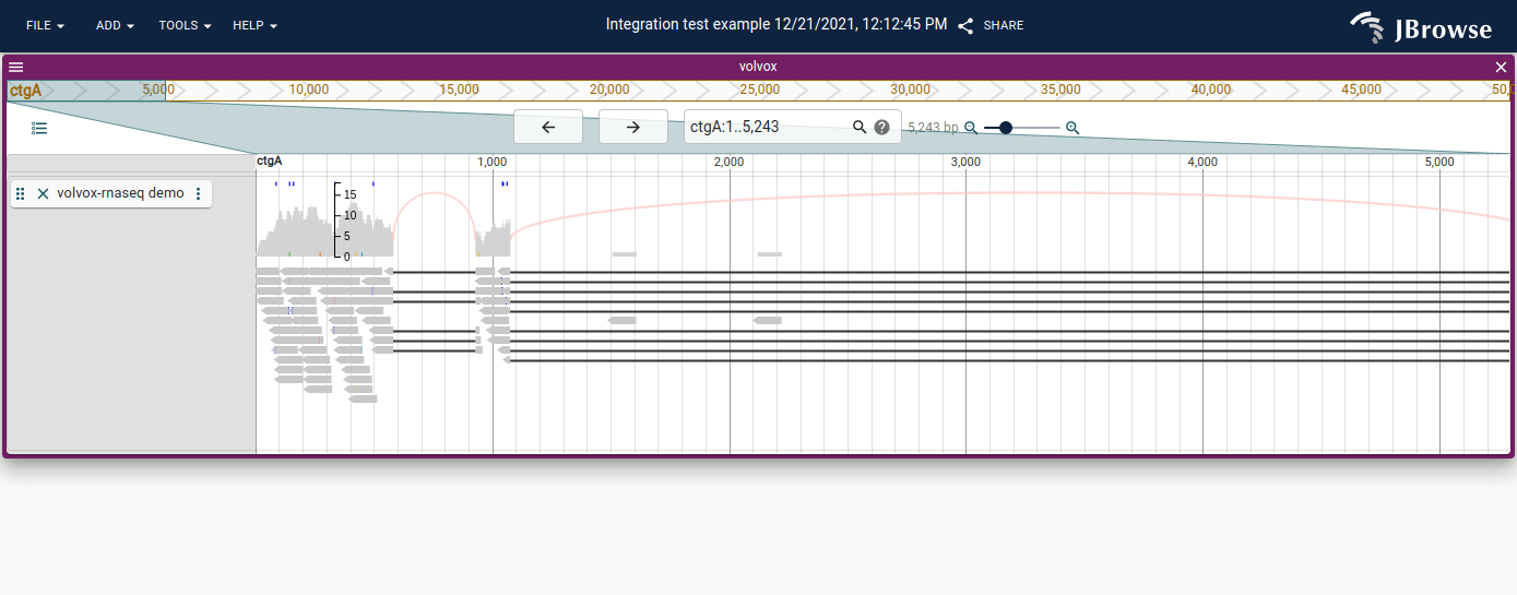 Sashimi-style arcs that are automatically drawn from spliced alignments. These arcs will be drawn by default on both short-reads e.g. RNA-seq and long reads e.g. Iso-Seq.