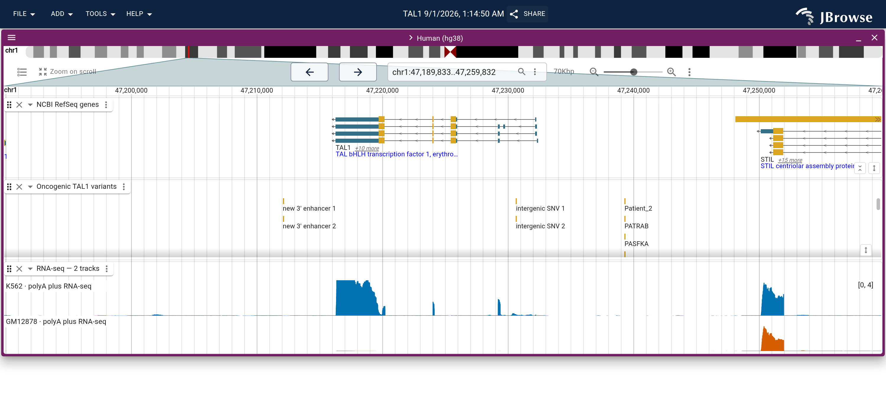 Predicted polyA plus RNA-seq over TAL1 in K562 and GM12878, both rows on one y-axis. The K562 row carries a block of signal across the annotated exons that the GM12878 row does not.