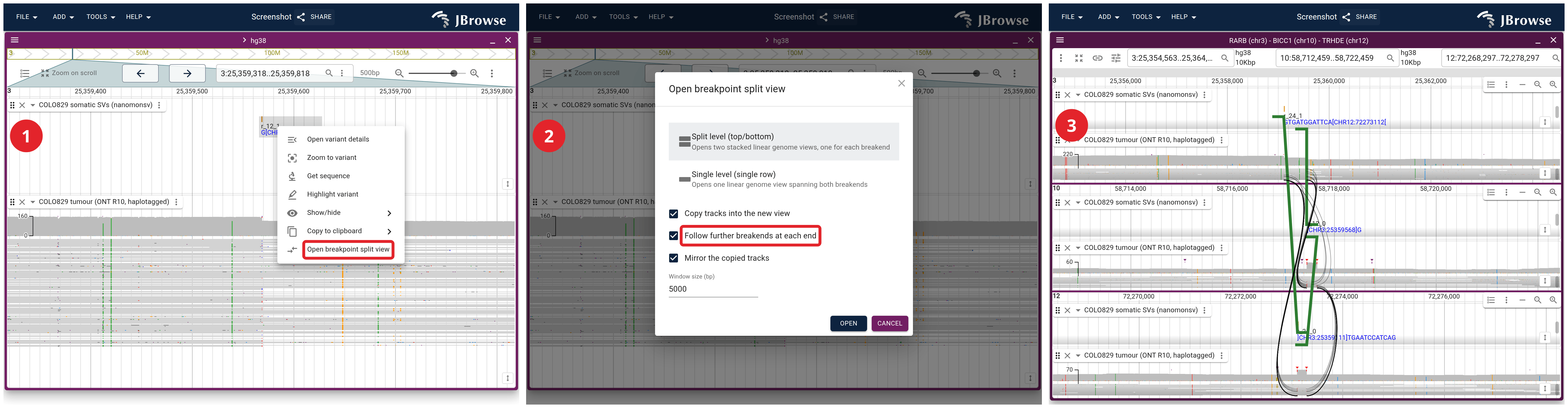 Opening the split view from the record itself: right-click the breakend, set the shape and window in the dialog, and get three panels because the chain runs chr3 to chr10 to chr12.