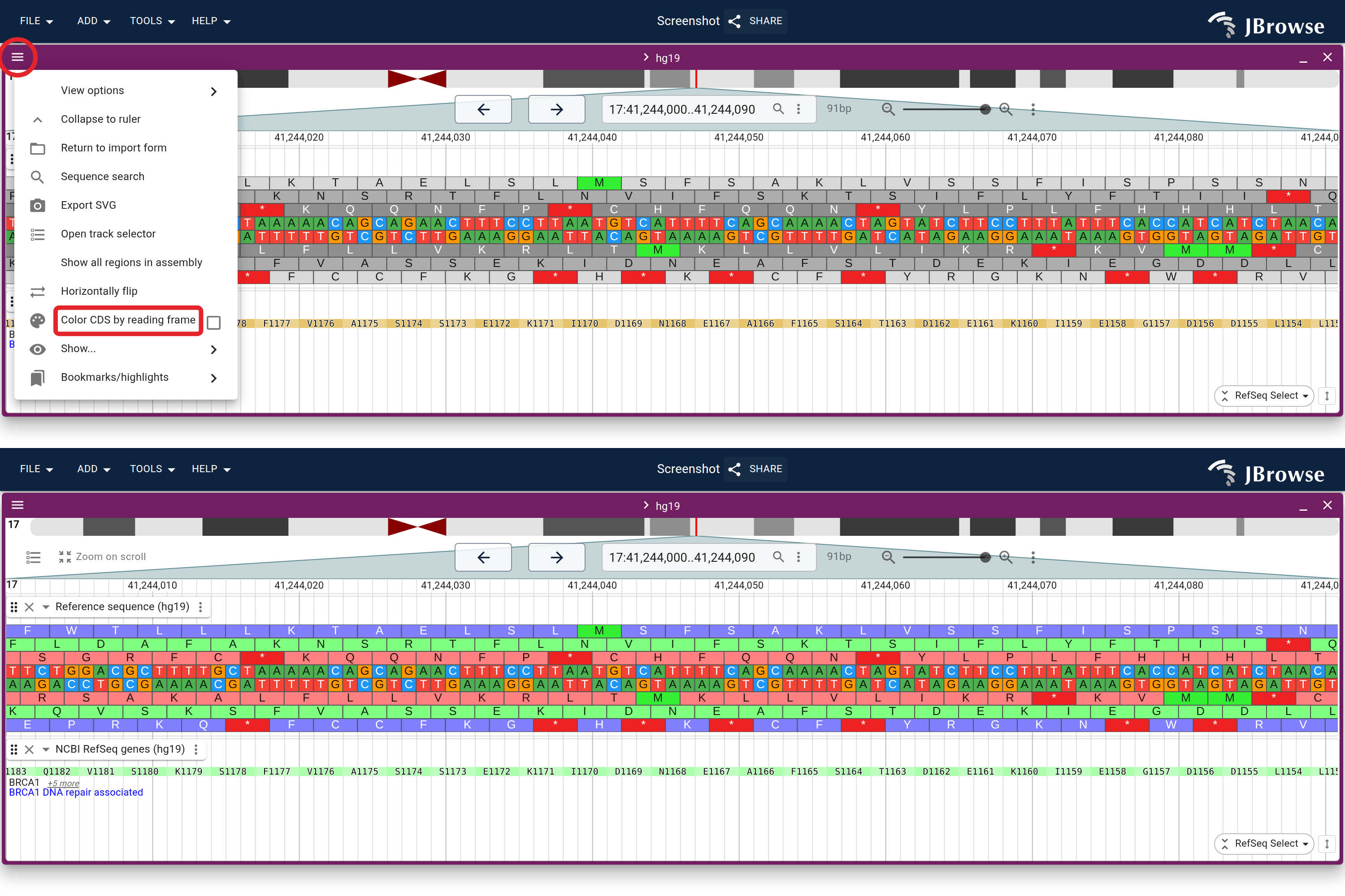 Turning on Color by CDS for BRCA1 (hg19). Top: the hamburger menu with the 'Color CDS by reading frame' toggle. Bottom: the result at base-pair resolution, each codon tinted by its reading frame with its amino acid and protein position drawn over it.