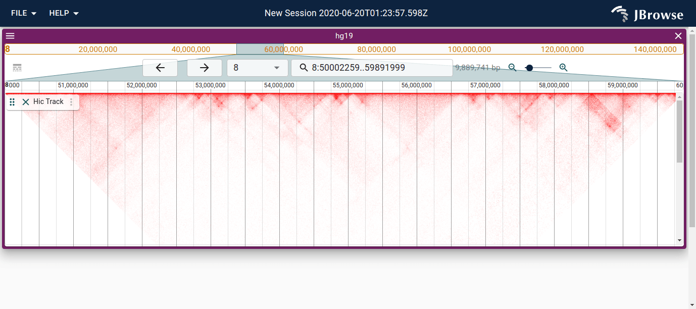 Screenshot of a Hi-C track.
