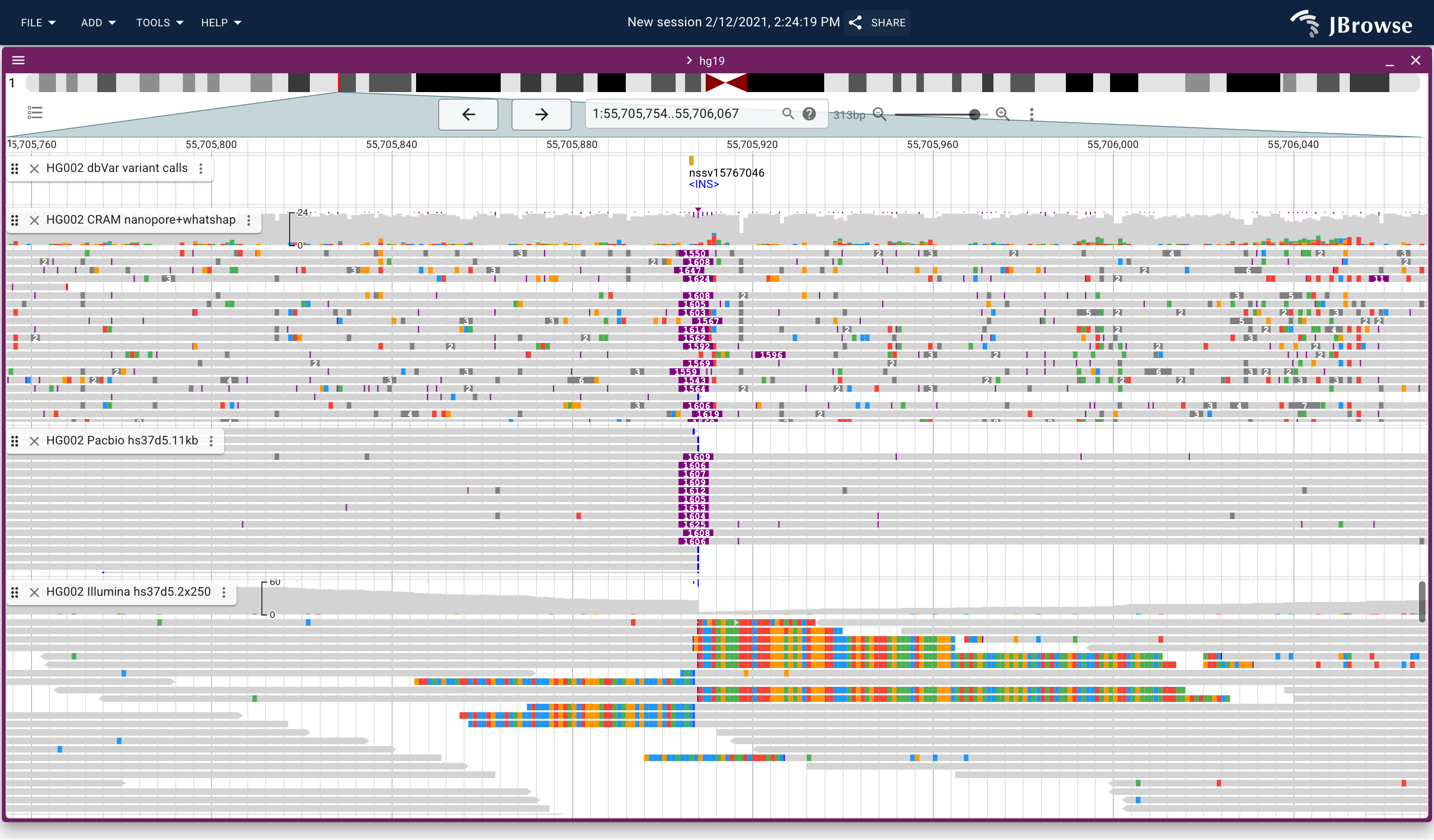 An insertion (nssv15767046 INS, labeled in the variant track at top) visible as a dense column of purple insertion rectangles at ~position 55,705,920 in nanopore (top track), PacBio (middle track), and Illumina (bottom track) reads. Long reads show tall purple bars spanning the inserted bases; Illumina reads show only soft-clip artifacts at the same site because the insert exceeds the fragment size.