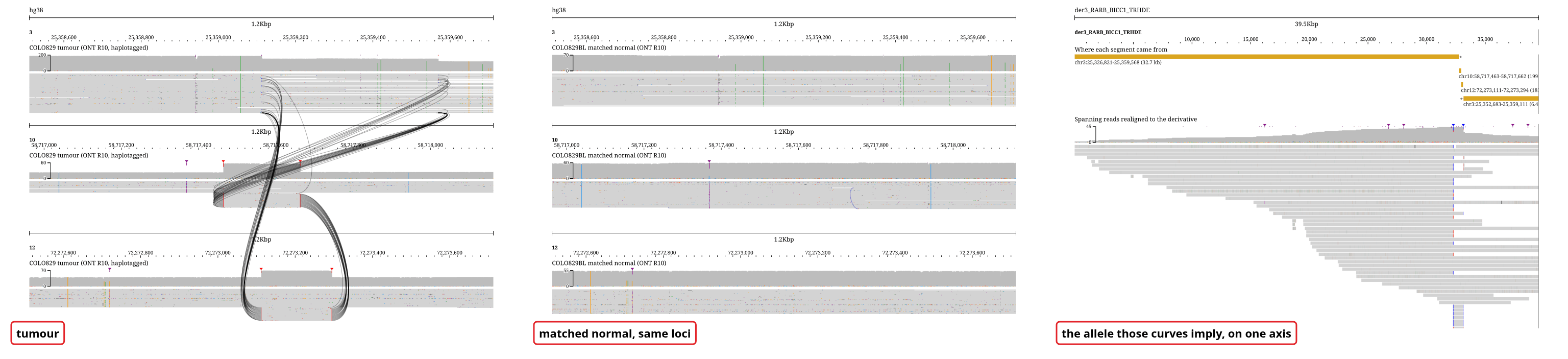 The three loci of COLO829's der(3), chr3 then chr10 then chr12, at the same width in every panel. The tumor nanopore reads carry a solid curve at every breakend and the matched normal carries none. On the right, the same three loci as one reconstructed contig.