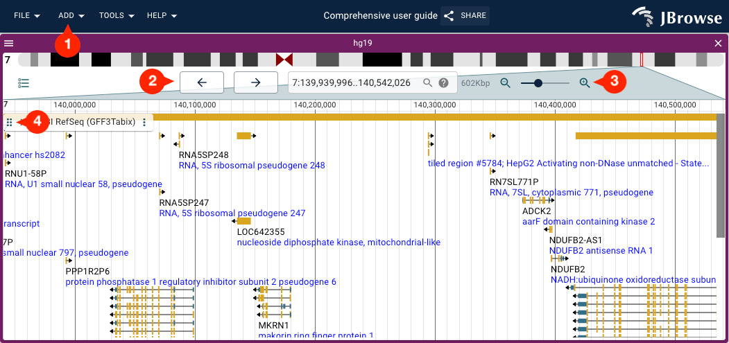 (1) Use Add, Linear genome view to add a new LGV. (2) The pan buttons can be used to scroll left or right. (3) The zoom buttons or the slider can be used to zoom on the view. (4) Tracks can be reordered by clicking and dragging the drag handle indicated by six vertical dots.