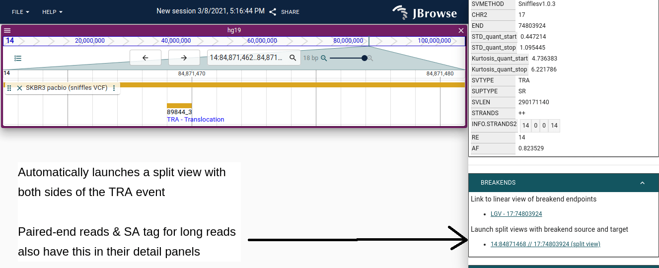 Feature details panel for a TRA variant. The BREAKENDS section at the bottom contains 'Launch split views with breakend source and target' — clicking that link (e.g. '14:84871468 // 17:74803924 (split view)') opens both breakpoint loci simultaneously in the breakpoint split view, with any open alignment tracks pre-loaded.