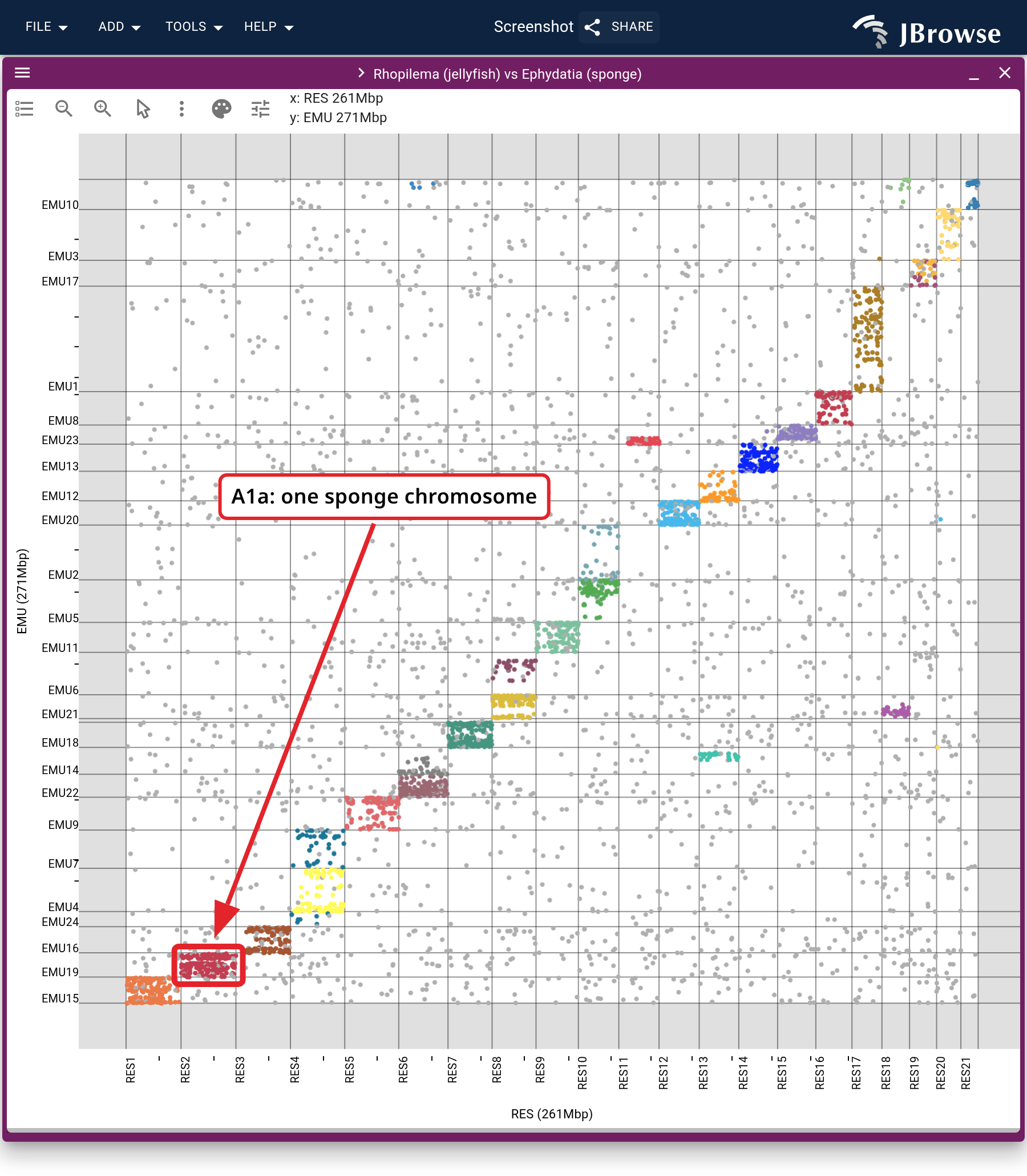 Jellyfish against sponge as a dotplot, each ortholog colored by its linkage group.