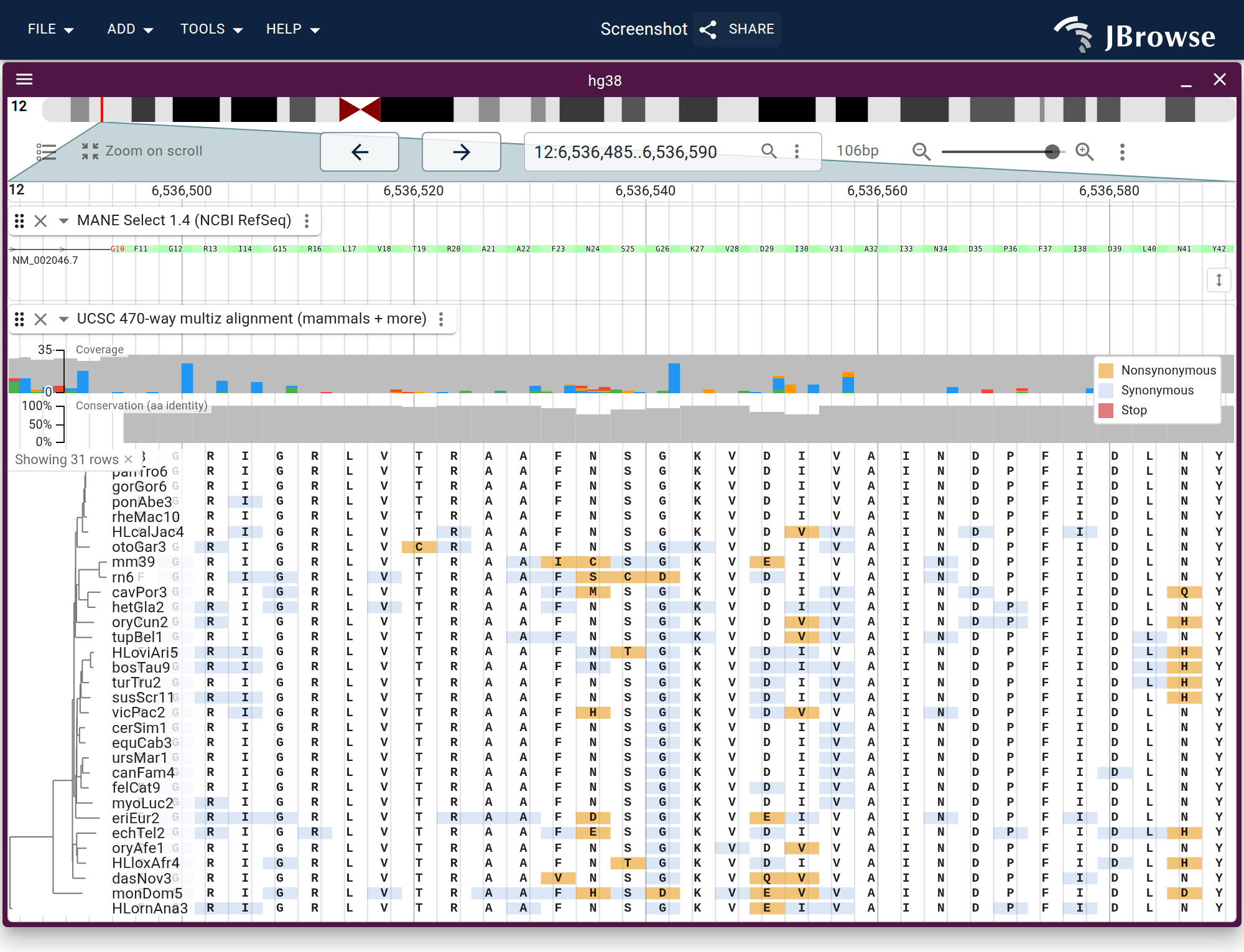 The hg38 470-way narrowed to representative mammals, one per major clade plus opossum and platypus outgroups, in codon view at a conserved GAPDH exon.