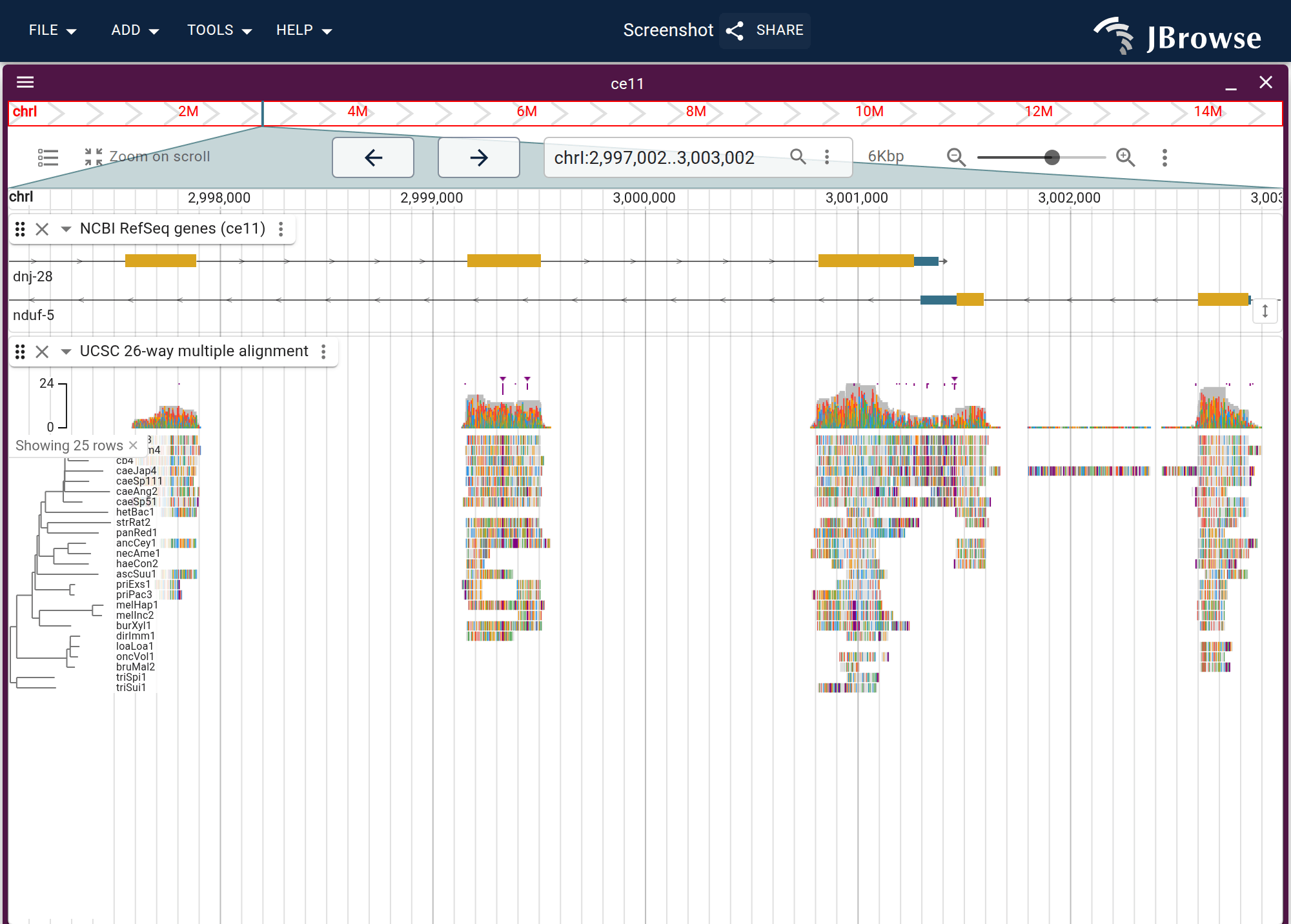 The UCSC ce11 26-way multiz alignment, with the ce11 NCBI RefSeq gene lane on top: the coverage band, then one row per species ordered by the guide tree, each species' differences from the reference drawn as colored marks. The conserved blocks line up with the coding exons above.
