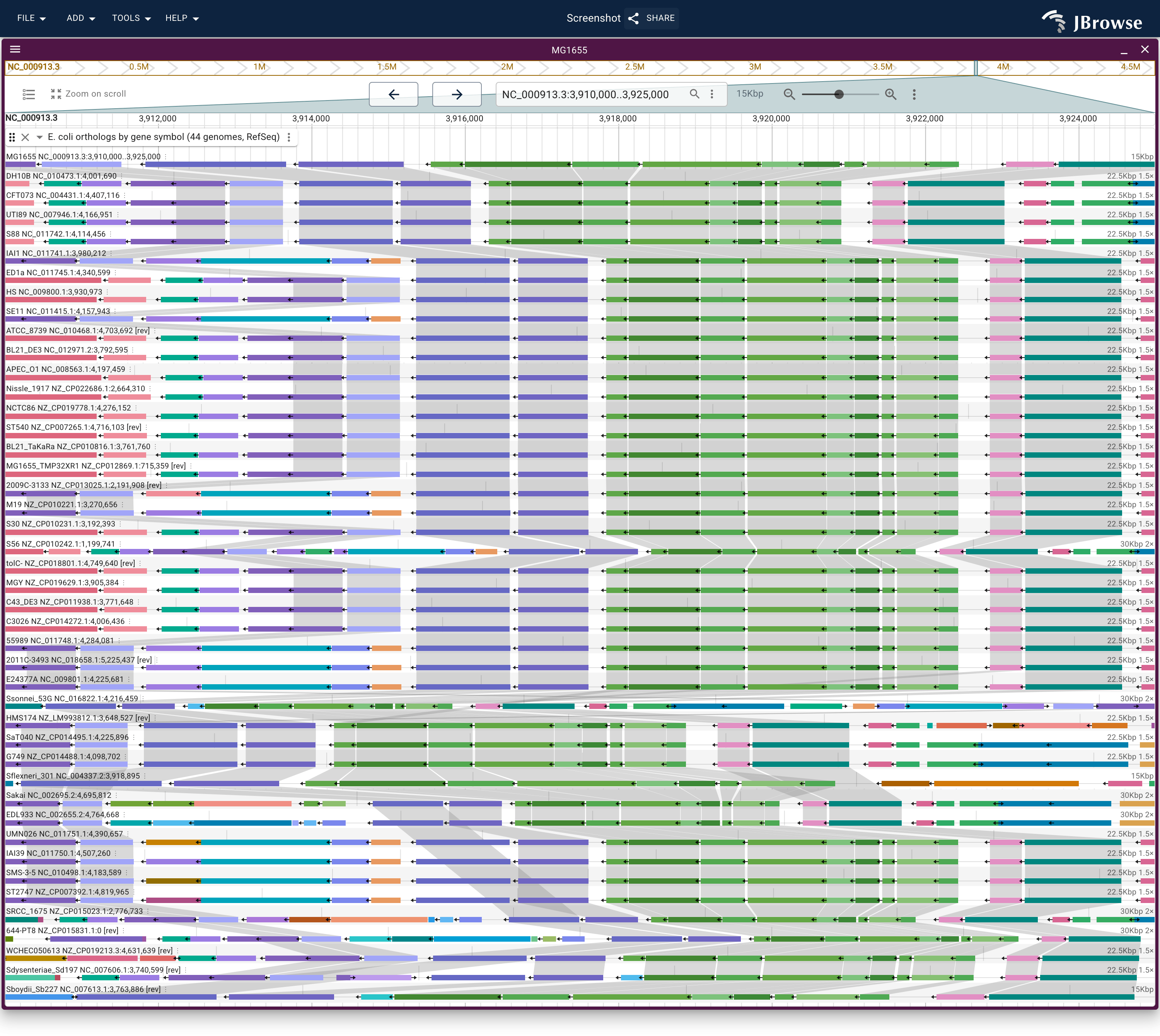 The atp operon on K-12 over forty-three E. coli and Shigella lanes from one gene-symbol ortholog track, each lane drawing its own RefSeq gene models. Every gene's color runs the full stack; the lanes reading the operon reversed are the ones whose chromosome was deposited the other way round.