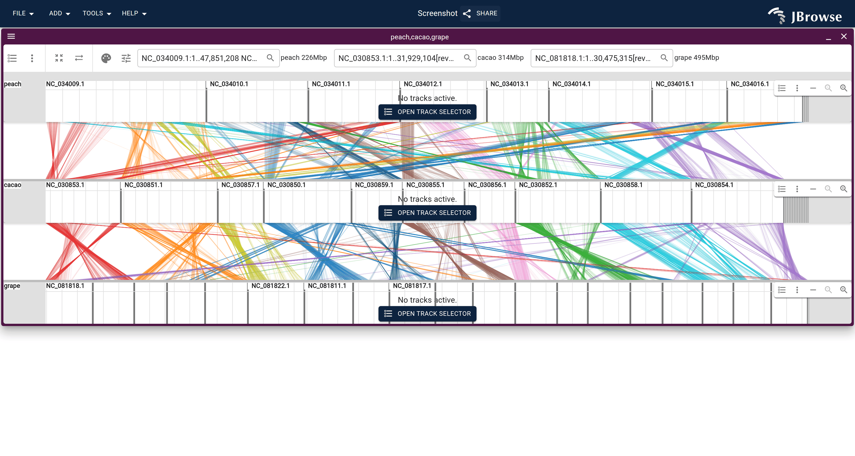Three genomes stacked peach-cacao-grape, with one MCScan .blocks file backing both synteny bands. autoDiagonalize has reordered and flipped each row's chromosomes so the ribbons run along the diagonal, and Color by → Reference anchors both bands on the shared middle row.