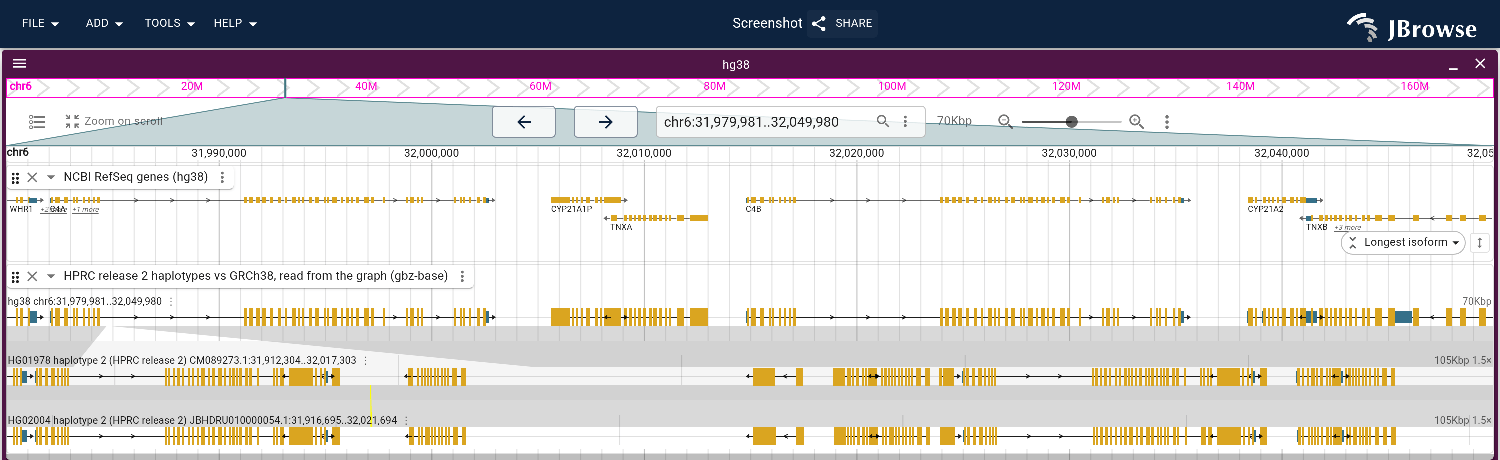 C4 from the HPRC page's haplotypes launch with two lanes chosen, HG01978.2 and HG02004.2, each carrying three copies of the C4 module, under the RefSeq genes. The band from GRCh38 leaves the third module unmatched, and the band between the two haplotypes matches it off the nodes both walks share.