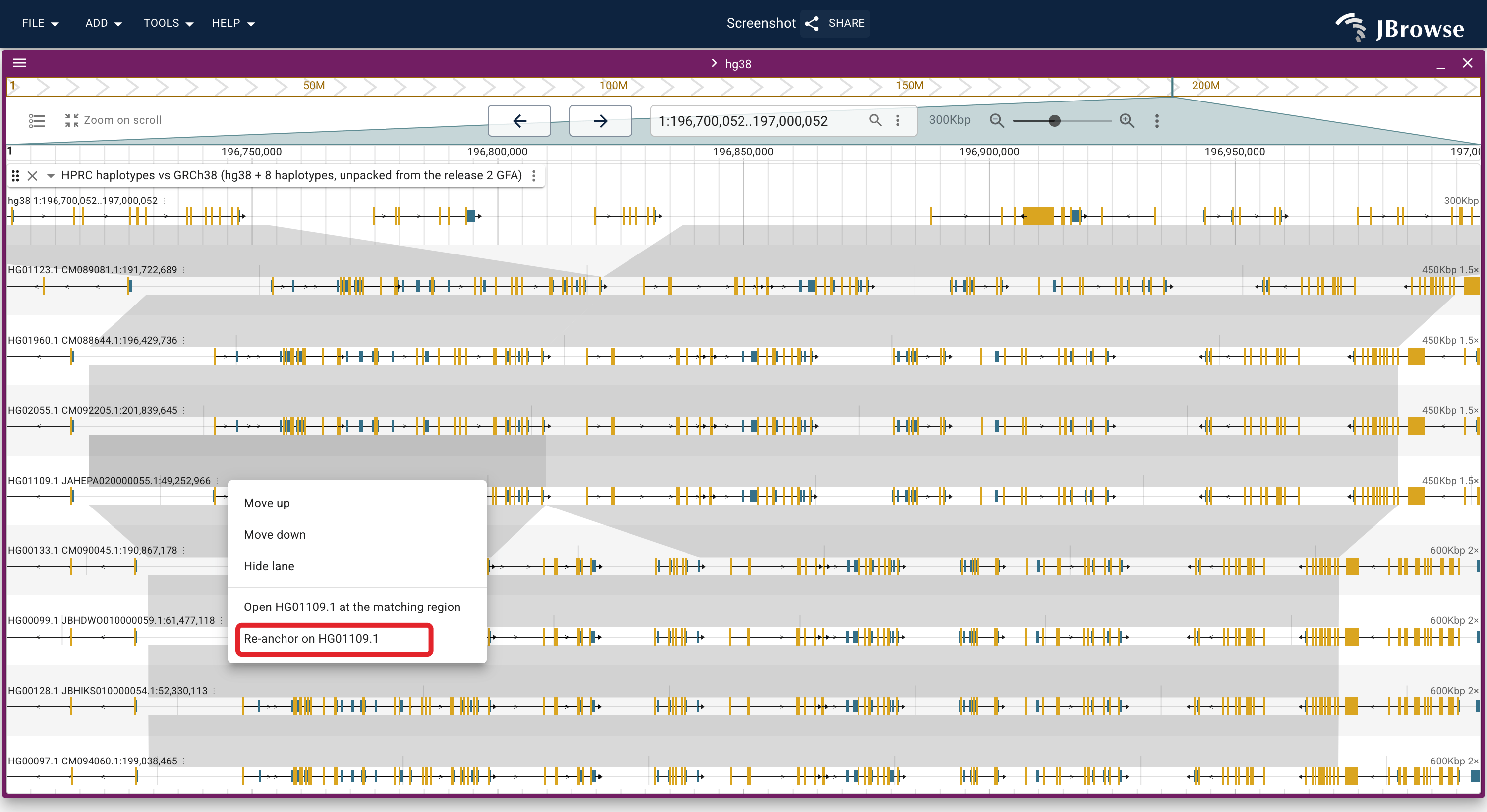 The header menu of one haplotype lane: re-anchor the view on it, open it at the matching region in its own view, or move and hide the lane.