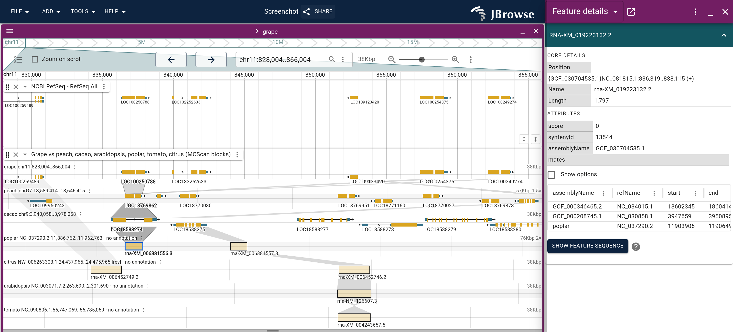 Lanes zoomed to a few genes, with one ribbon clicked. Each ribbon links a gene to its ortholog in the lane below; the clicked ortholog group is outlined down every lane that chains it, and the details panel opens on the clicked pair.