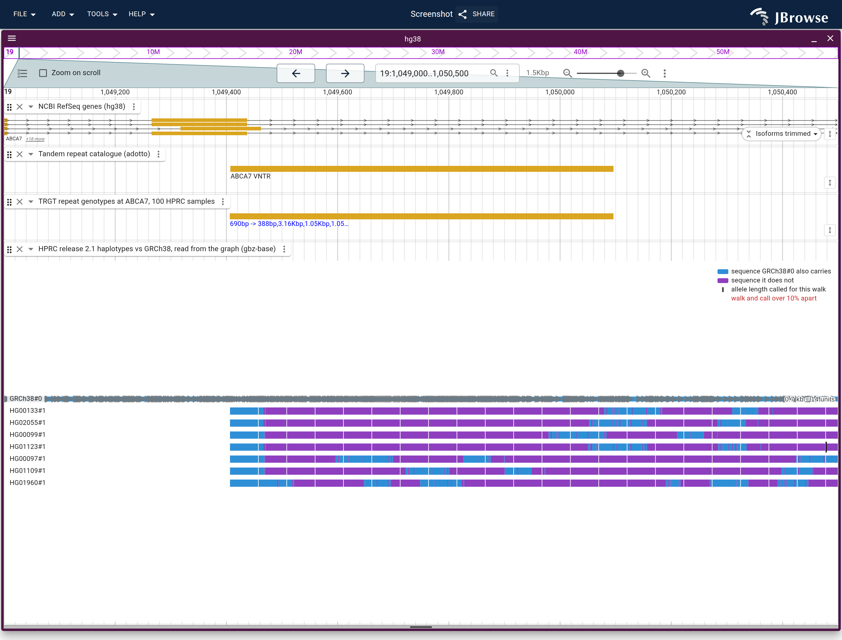 The ABCA7 VNTR in walk rows, one bar per HPRC haplotype, longest first, with the TRGT record picked in the Repeat dropdown, boxed. The catalogue lane marks the VNTR on GRCh38, whose walk is the short blue bar at the top. Each bar is tiled by the motif, and a black tick marks the allele TRGT called for that walk. A red readout is a walk far from its allele.
