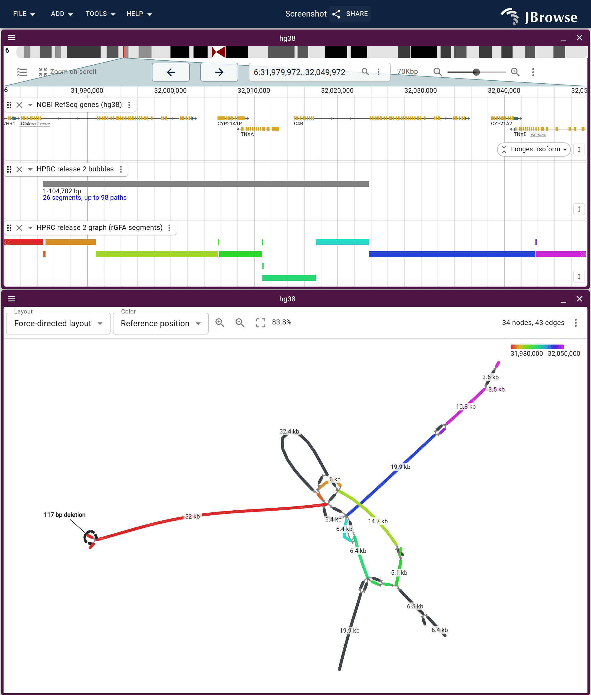 The C4 locus as a force-directed graph, under three lanes of the same window. The bubbles track reports a single bubble spanning the locus, and the graph below is what it contains.