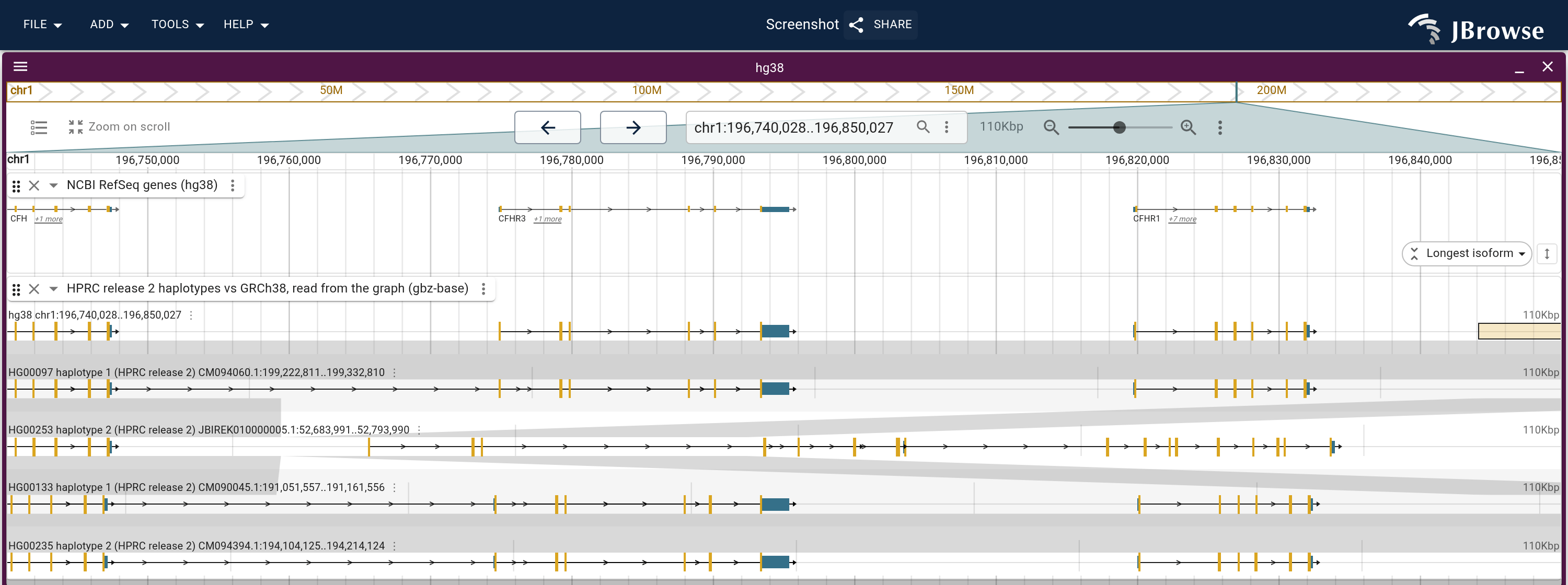 The CFH cluster from the HPRC page's haplotypes launch: the RefSeq genes over one lane per structural configuration, each a haplotype's walk read from the graph and drawn on that haplotype's contig under its CAT genes. A lane that lacks CFHR3 and CFHR1 leaves that stretch of its neighbour unmatched in the band between them.