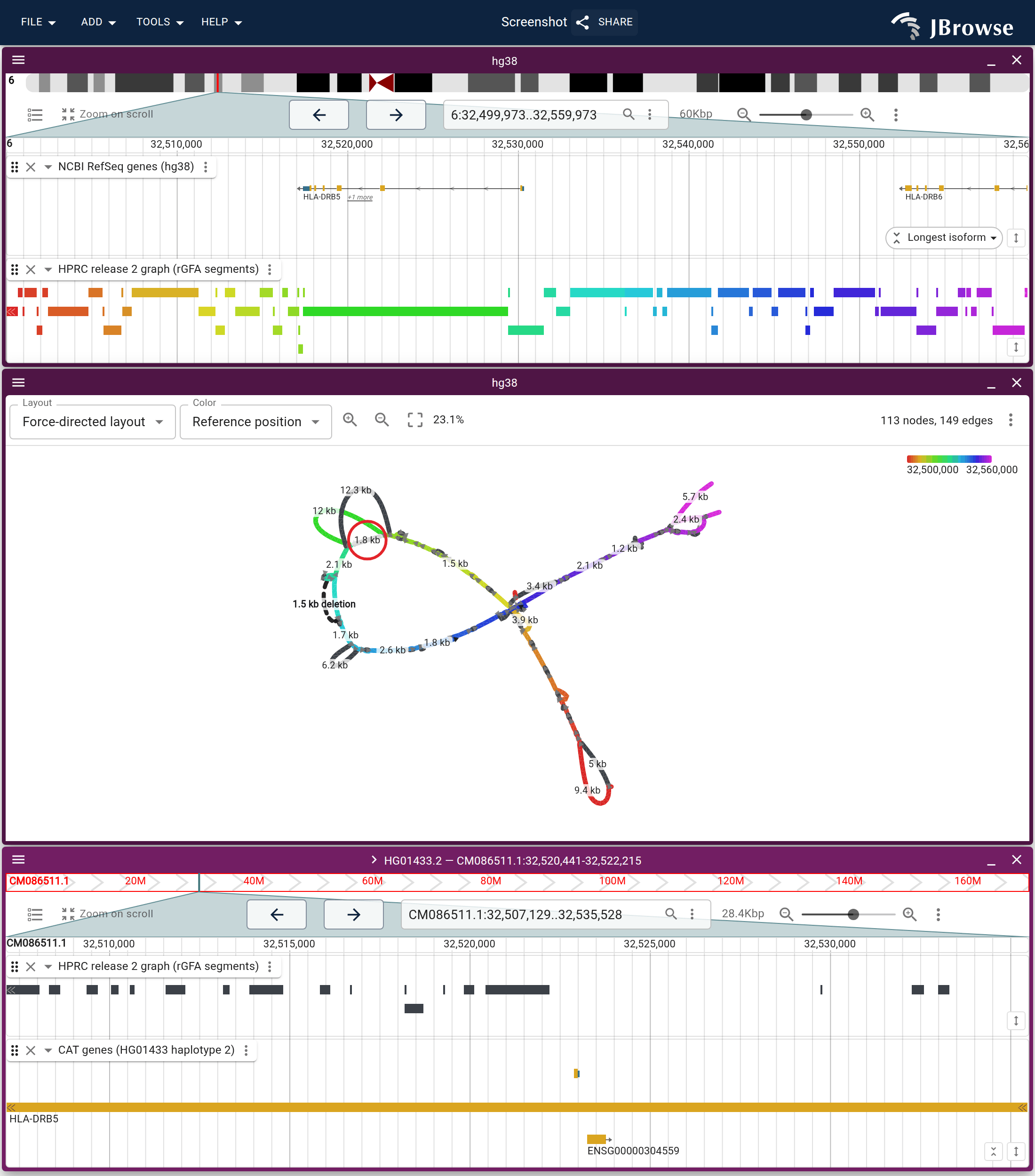 The same launch as a still. Above, the MHC class II window on hg38 and the cut made from it, with the HG01433.2 allele ringed. Below, the view its Open in entry opened, zoomed out from the allele: HG01433 haplotype 2 on its own chromosome 6, the segments the graph credits to it, and its CAT annotation, where HLA-DRB5 spans the whole window.