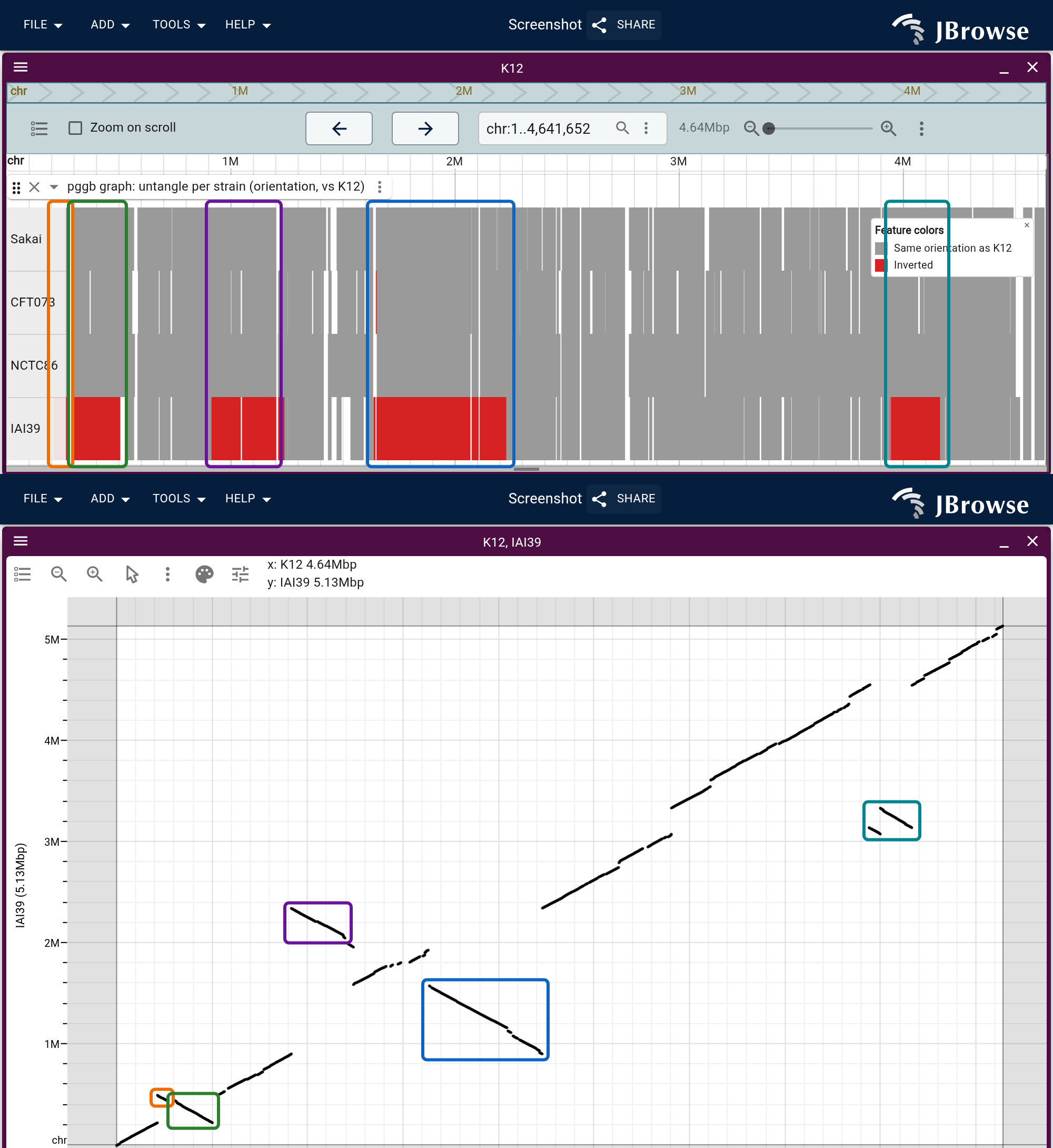The odgi untangle synteny read two ways, with each of IAI39's inverted arms boxed in a distinct color in both. Above, one row per strain over the whole K12 chromosome, red where the strain runs backwards and white where it has no segment. Below, K12 against IAI39 as a dotplot, where every descending segment is an inversion.