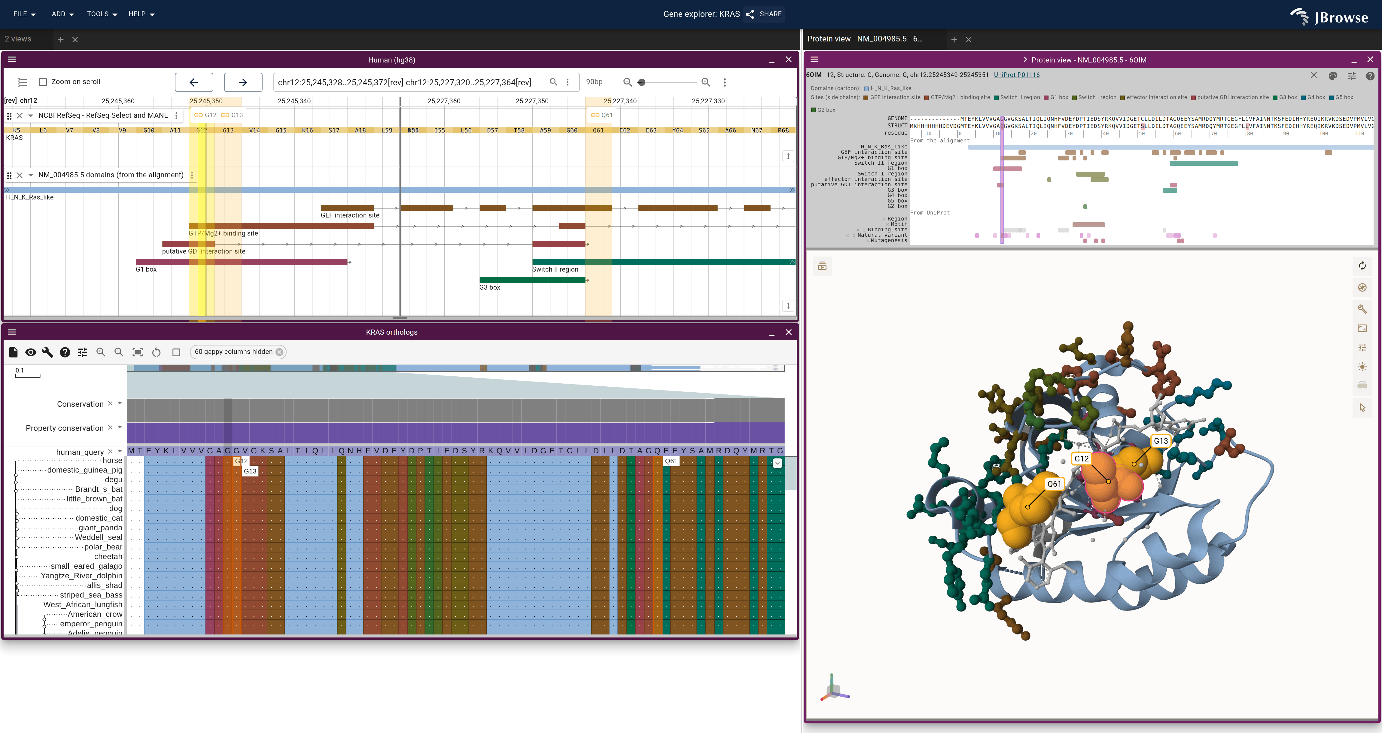 KRAS in three linked views, colored by the alignment's domains and sites: the genome's domain track, the alignment's rows and the 6OIM cartoon, with each site's side chains as sticks.