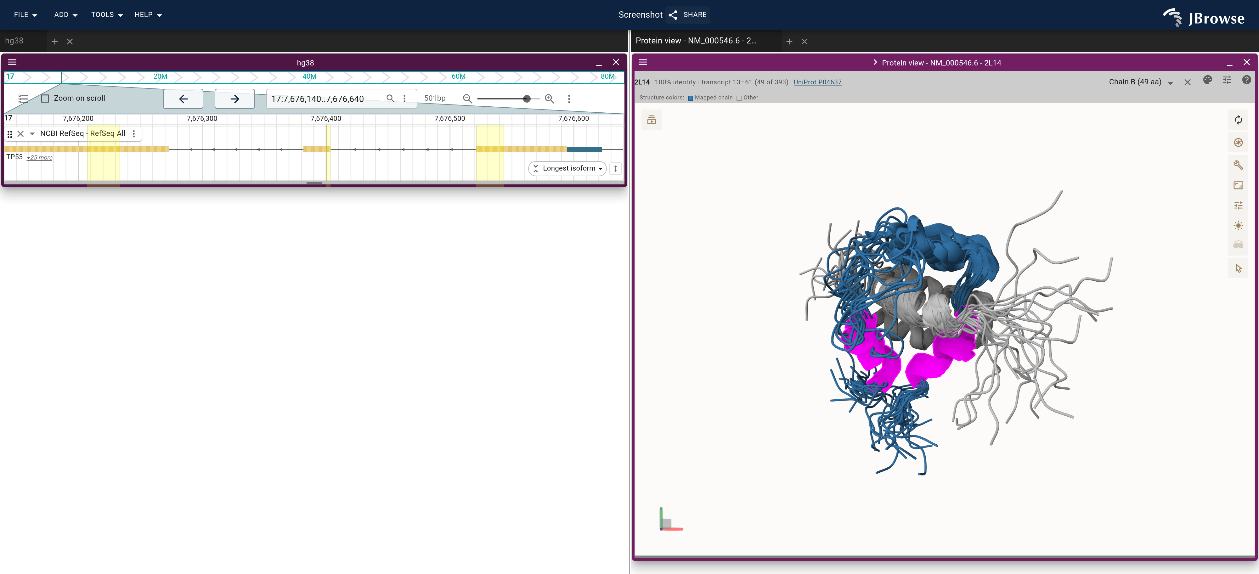 TP53's first coding exons beside every model of 2L14. Bands on the gene mark the codons of the helices in magenta.