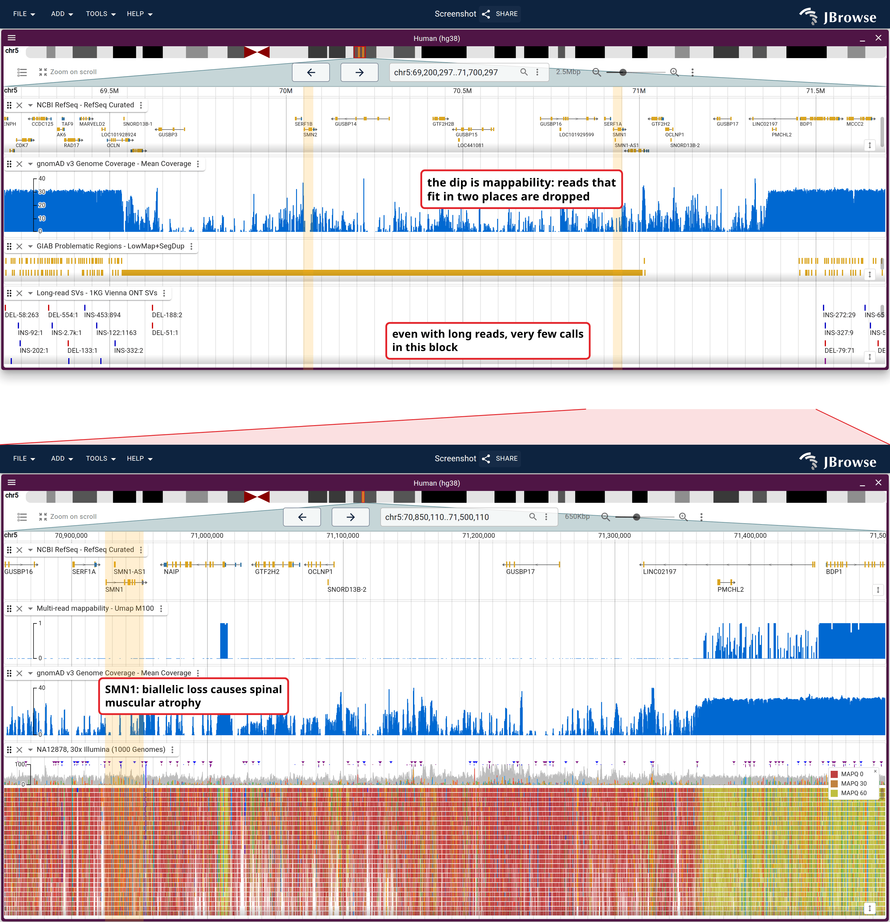 Two scales of the same place. Top, a wide span of chr5 with SMN2 and SMN1 banded: RefSeq genes, gnomAD mean coverage, GIAB's low-mappability and segmental-duplication regions, and the 1000 Genomes long-read SV callset. Bottom, the span the wedge marks, with Umap k100 mappability and NA12878 reads colored by mapping quality.