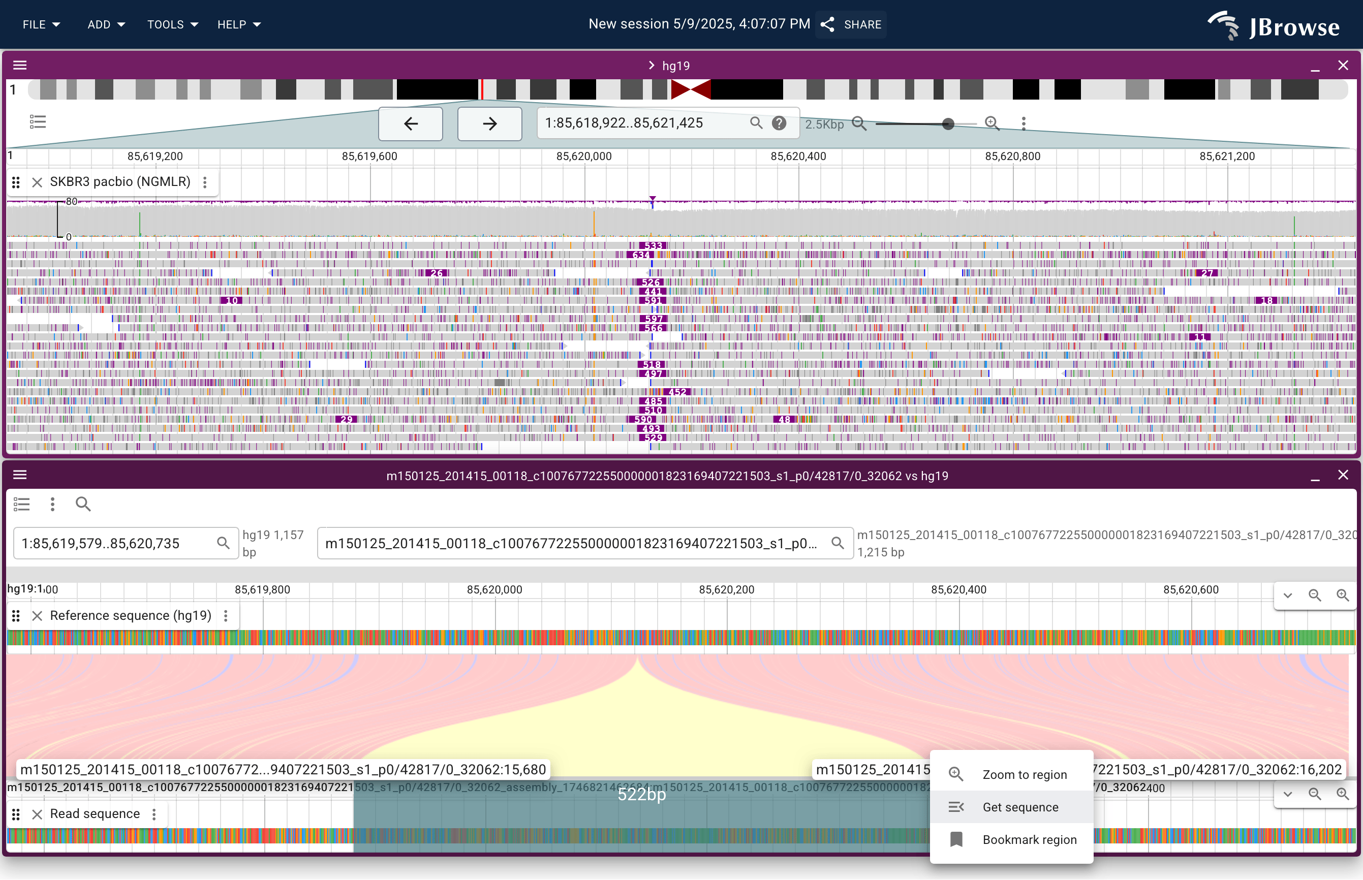 'Linear read vs ref' for a SKBR3 PacBio read spanning a ~500 bp insertion. The top panel is a standard pileup; the bottom panel is a synteny-style split view showing the read (top lane) aligned to the reference (bottom lane). The gap in the diagonal alignment blocks in the lower panel marks the inserted sequence not present in the reference. Click-and-drag over any region in the lower panel to extract its sequence.