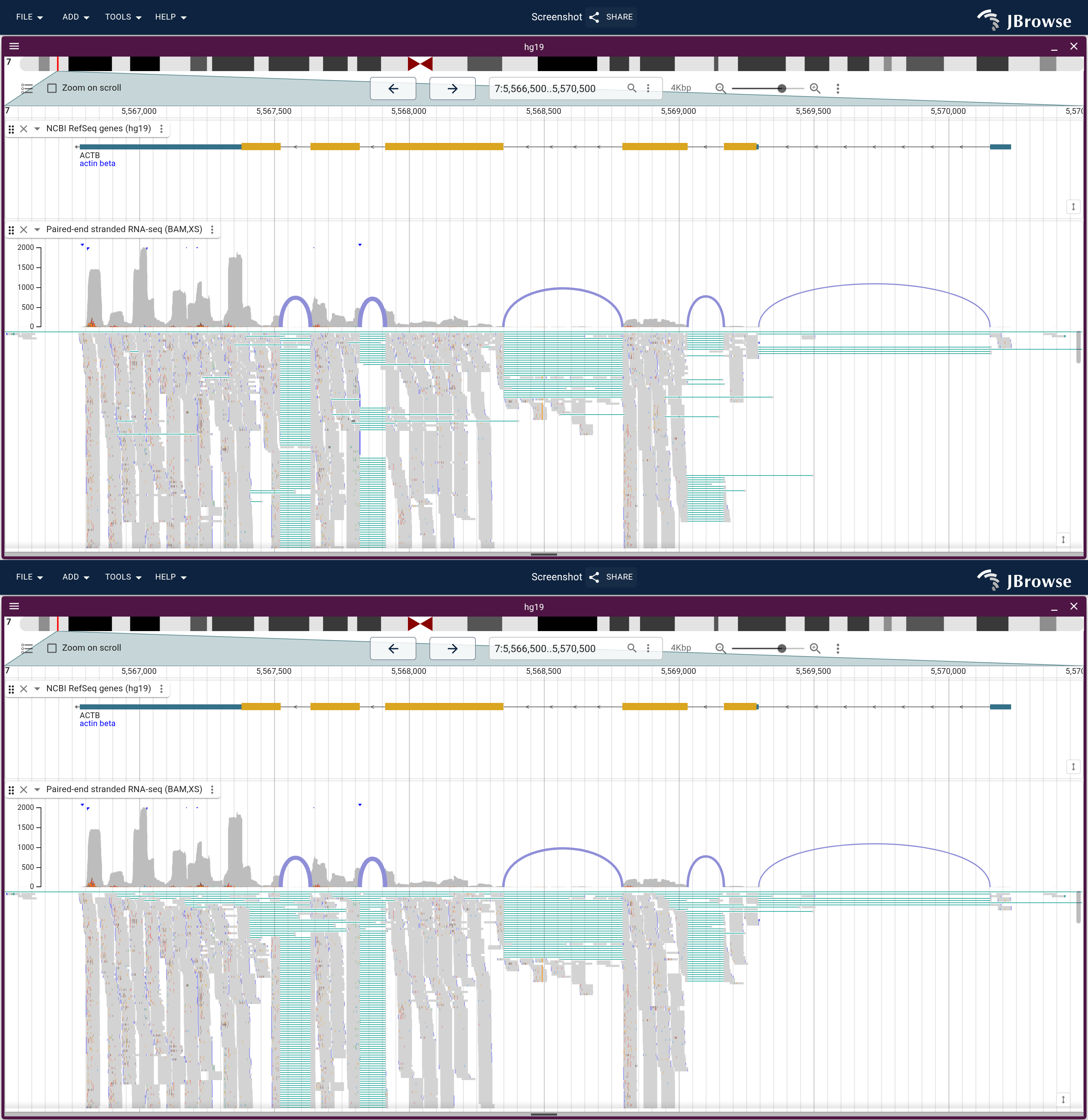 The ACTB pileup in file order above, and sorted with spliced reads first below. Teal lines mark reads whose CIGAR has a skip. File order scatters them down the stack, and the sort gathers them into the top rows.