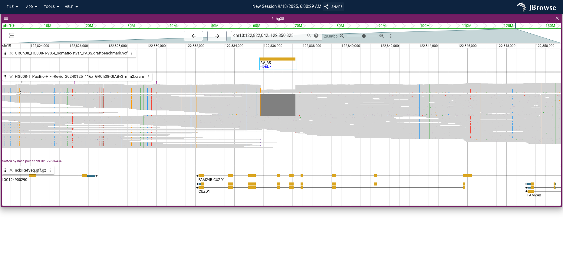 After opening the gene annotations and tumor PacBio HiFi reads, displaying reads in compact mode, and sorting by base pair with the deletion in the center. The deletion removes two CUZD1 exons and is heterozygous.