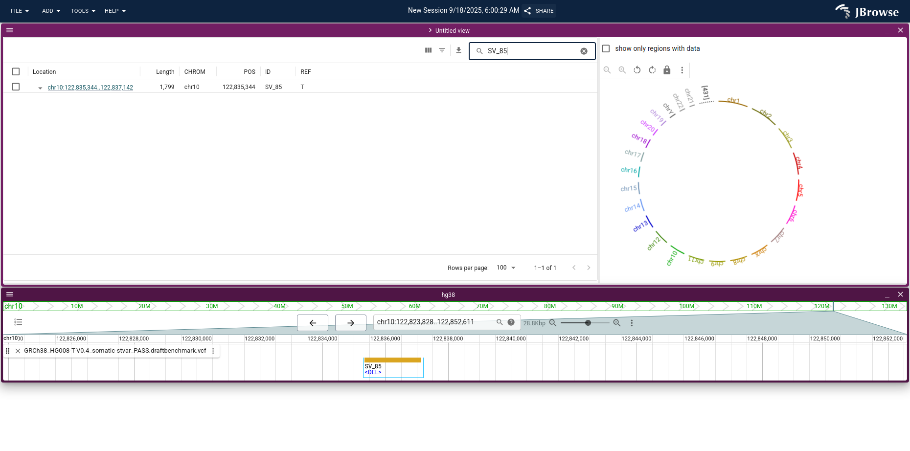 The SV inspector after searching for SV_85 — clicking the row opens a new linear genome view.