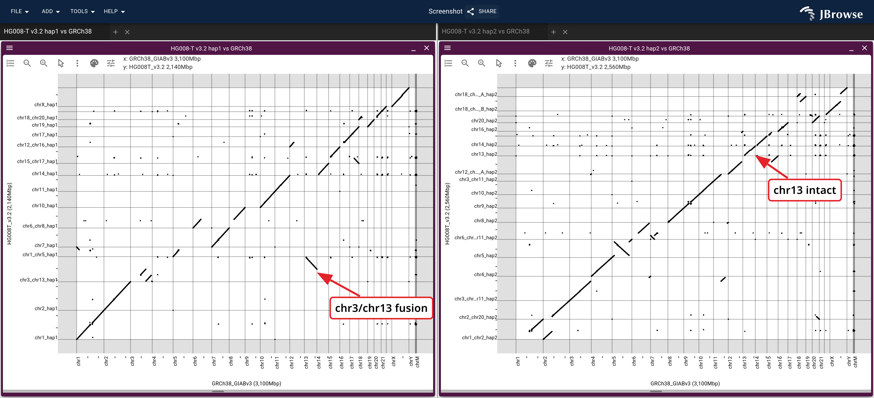 HG008-T's two haplotypes (y) against GRCh38 (x) as dotplots, hap1 left and hap2 right.