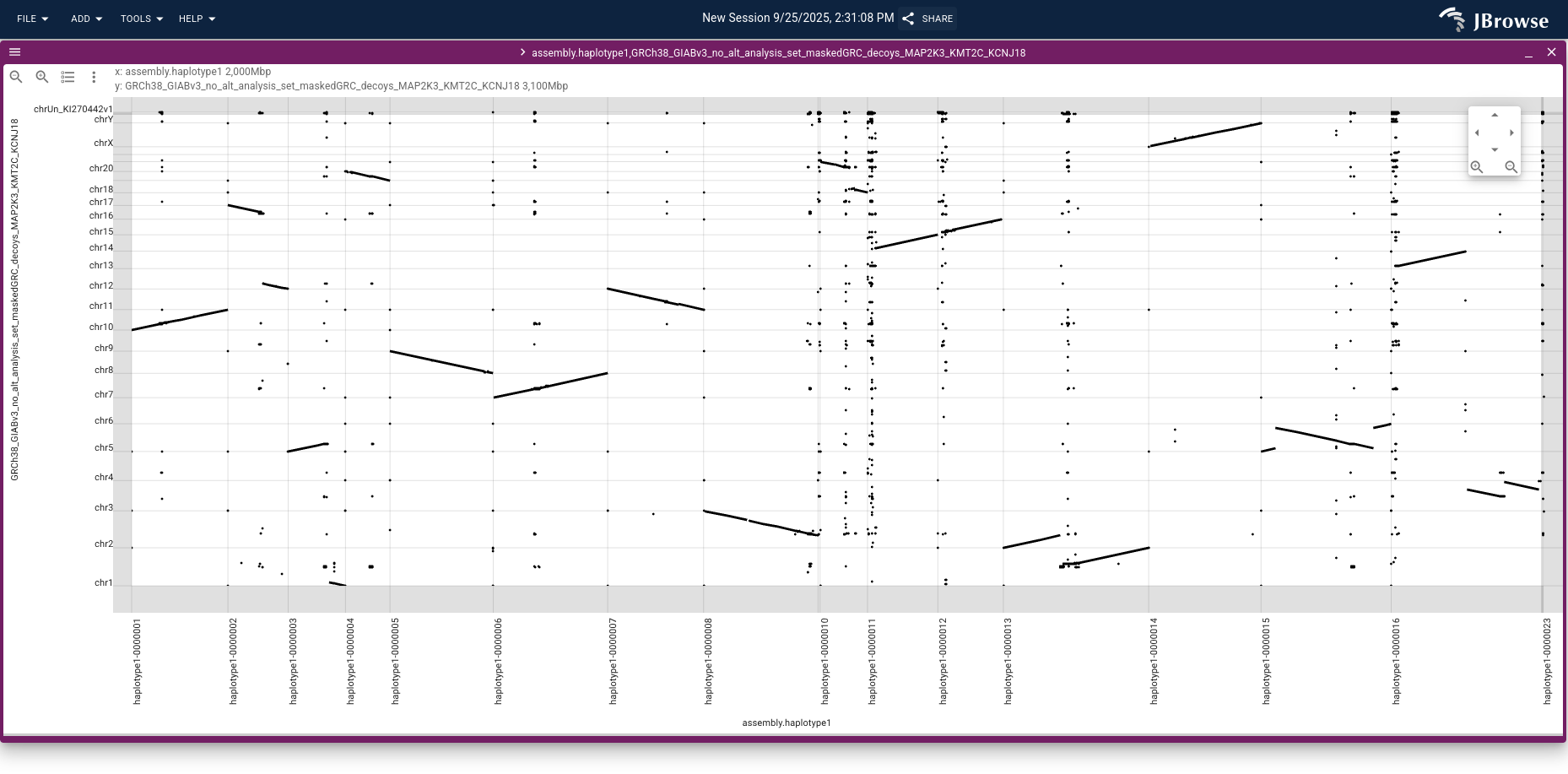 The resulting dotplot, showing chromosome-scale rearrangements. The chr3–chr13 fusion from the earlier walkthrough is visible as an off-diagonal block.