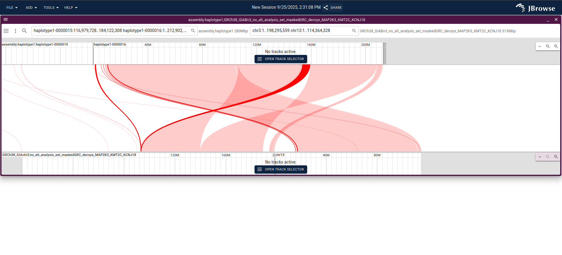 A synteny view launched by selecting the chr3/chr13 region in the dotplot — base-level alignment makes the breakpoints easy to read.