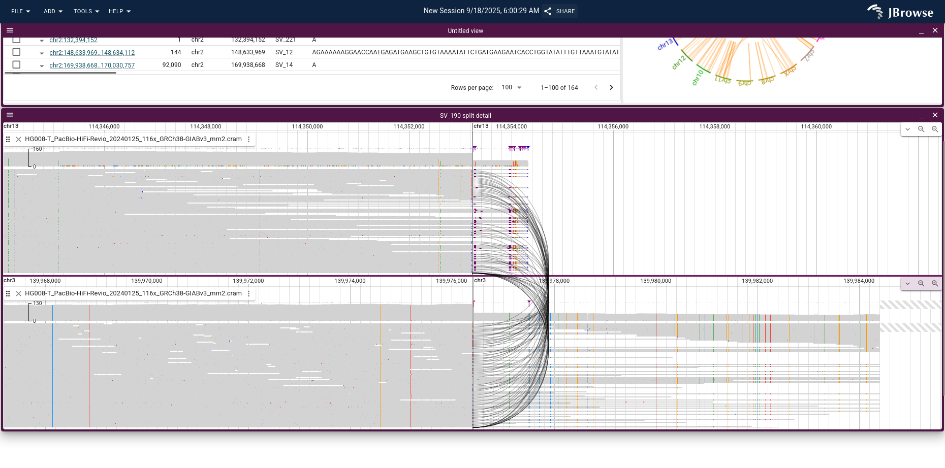 Clicking the chord joining chr3 and chr13 opens a breakpoint split view. Black splines connect tumor PacBio HiFi reads that partially map to each chromosome, suggesting a fusion or translocation.