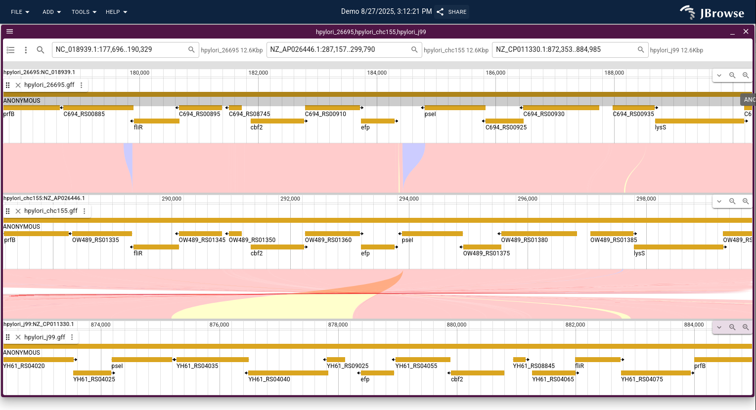 Selecting a region in the dotplot (left) by clicking and dragging, then launching a synteny view (right) shows the base-level alignment of the selected region.