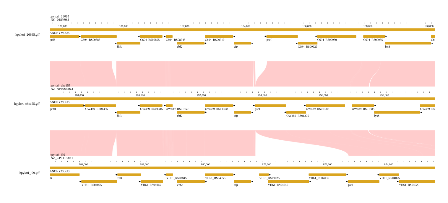 Gene annotations overlaid on both sides of a linear synteny view, highlighting syntenic (conserved) genes.