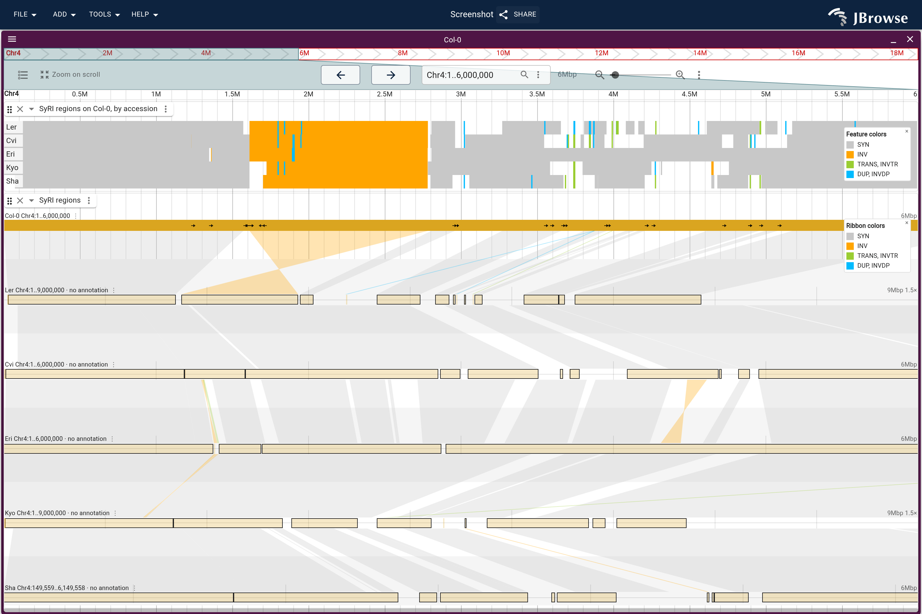 The first 6 Mb of Col-0 chromosome 4: each accession's SyRI regions against Col-0 as a row above, and the accessions as lanes below in their own coordinates, each band colored by SyRI's type for the two genomes it joins. Every accession is inverted against Col-0 across the same stretch, and the bands between accessions run straight there.