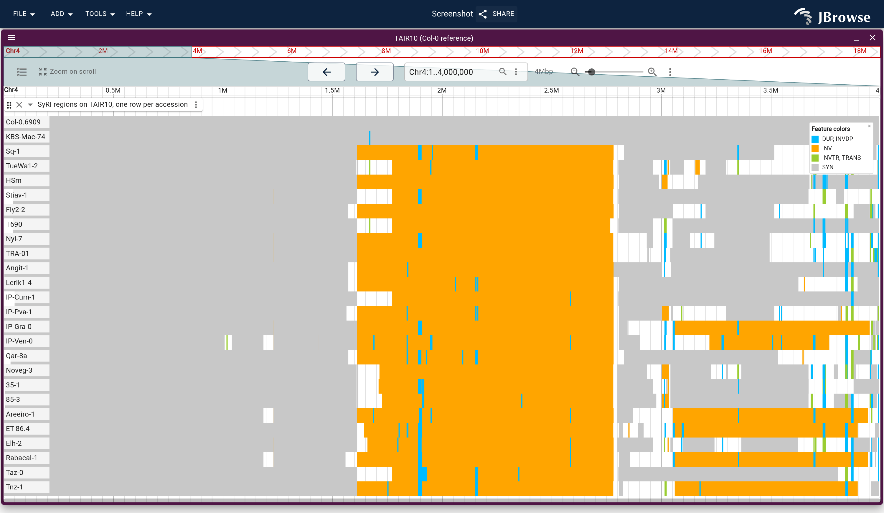 The first 4 Mb of TAIR10 chromosome 4, one row of SyRI regions per 1001 Genomes Plus accession. The top two rows, Col-0's own assembly and KBS-Mac-74, run syntenic across the inversion; every other row is inverted there.