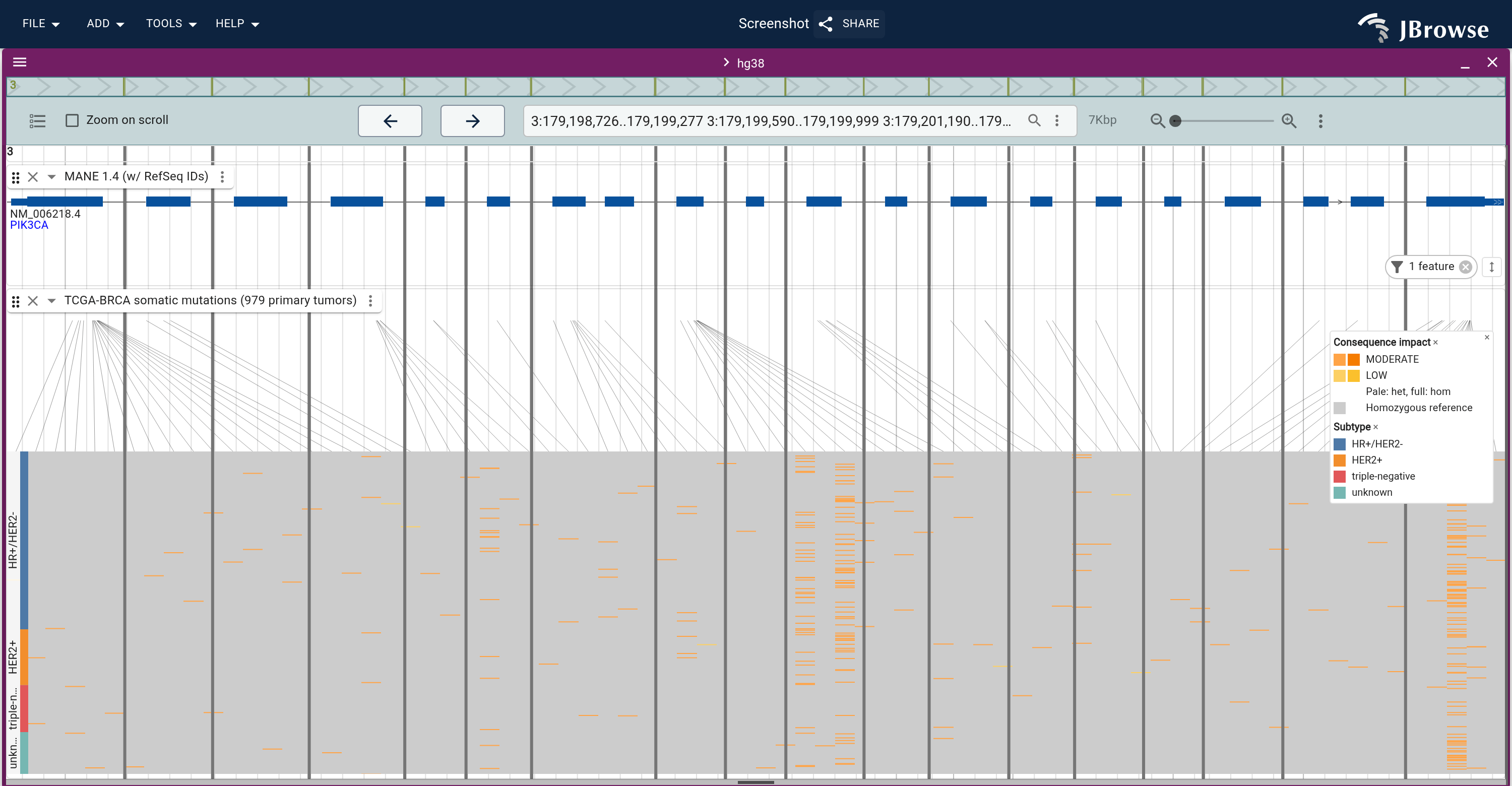 PIK3CA's exons (introns collapsed), rows banded and colored by receptor subtype. Three columns, two in the helical domain and one in the kinase domain, hold most of the cohort's calls, against the private columns spread around them.