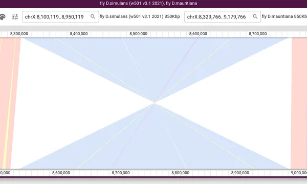 Preview of Driving JBrowse with an AI agent (two Drosophila genomes)