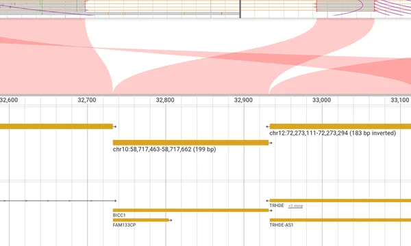 Preview of Complex rearrangements and derivative alleles