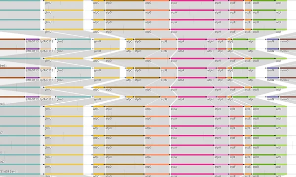 Preview of Synteny from gene symbols (44 E. coli genomes)