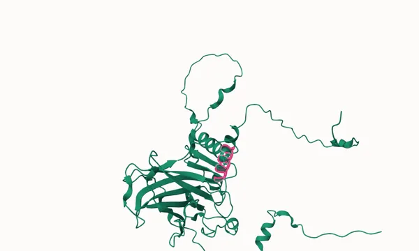 Preview of Proteins on genomes.jbrowse.org