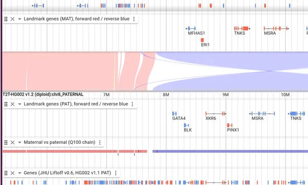 Preview of Comparing one genome's two haplotypes (T2T-HG002)