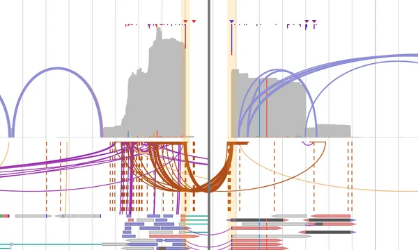 Preview of Gene fusion calls and the DNA behind them
