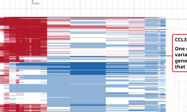 Preview of CNV across a population (1000 Genomes)