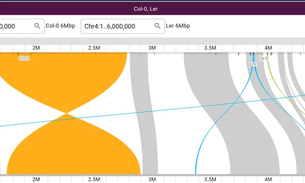 Preview of Rearrangements between genomes by type (SyRI)